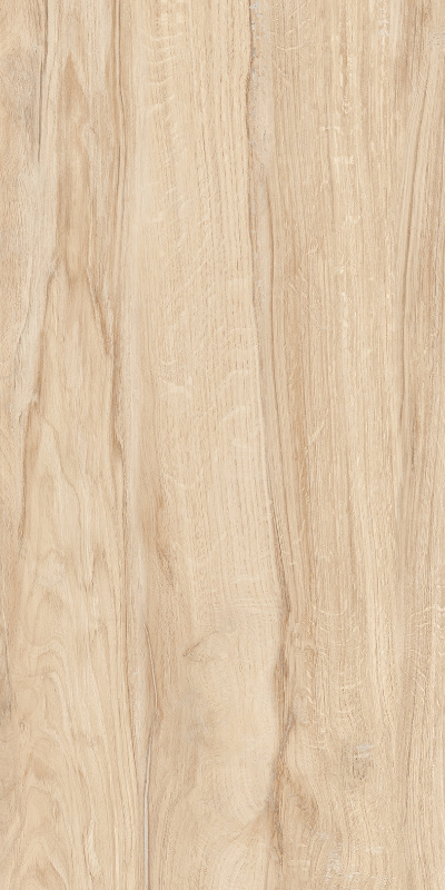 AKASA BEIGE _P3