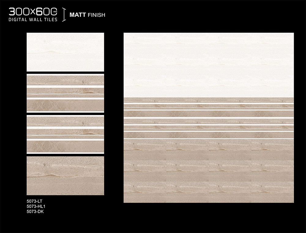 WL 12x24 (9) MATT PATTA